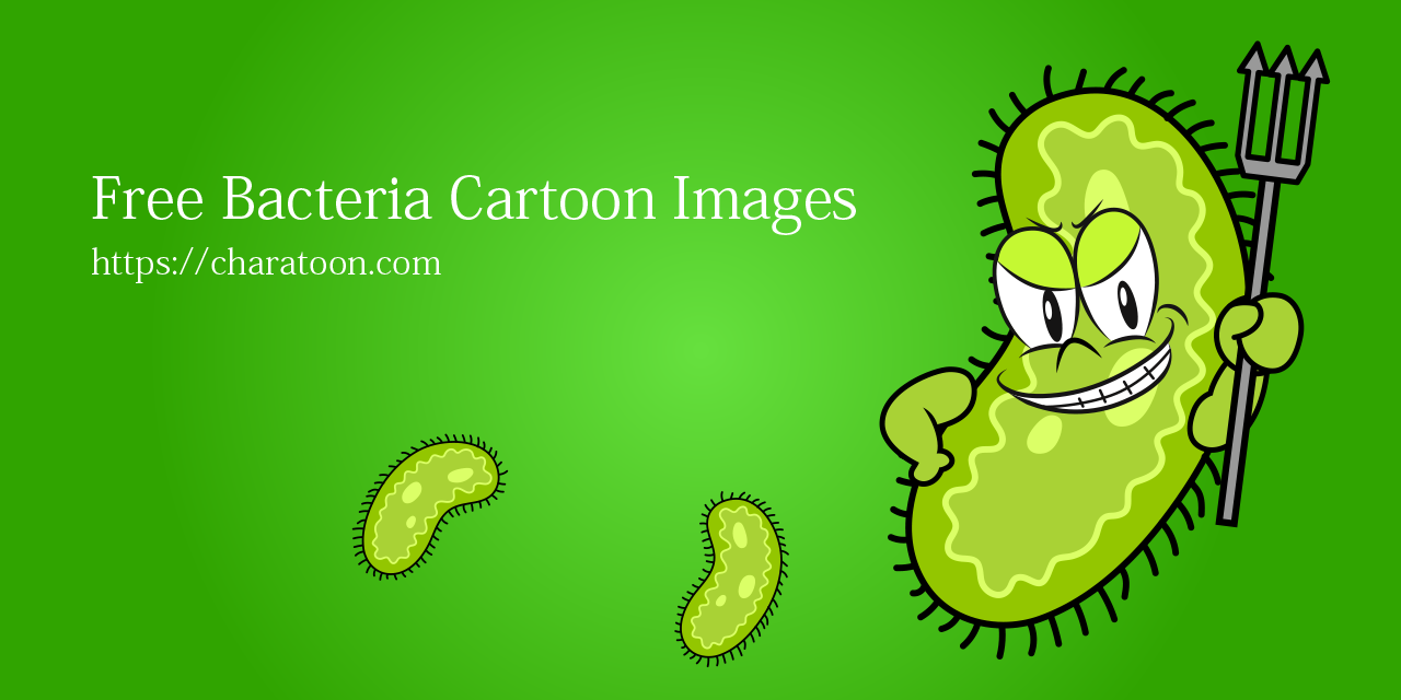 Bacteria
