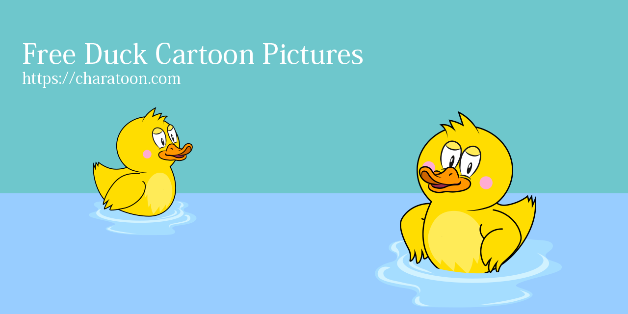 Duck