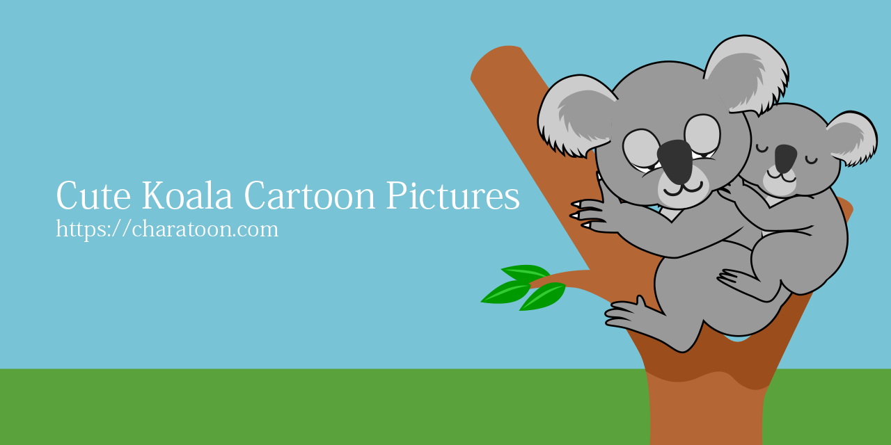 Koala