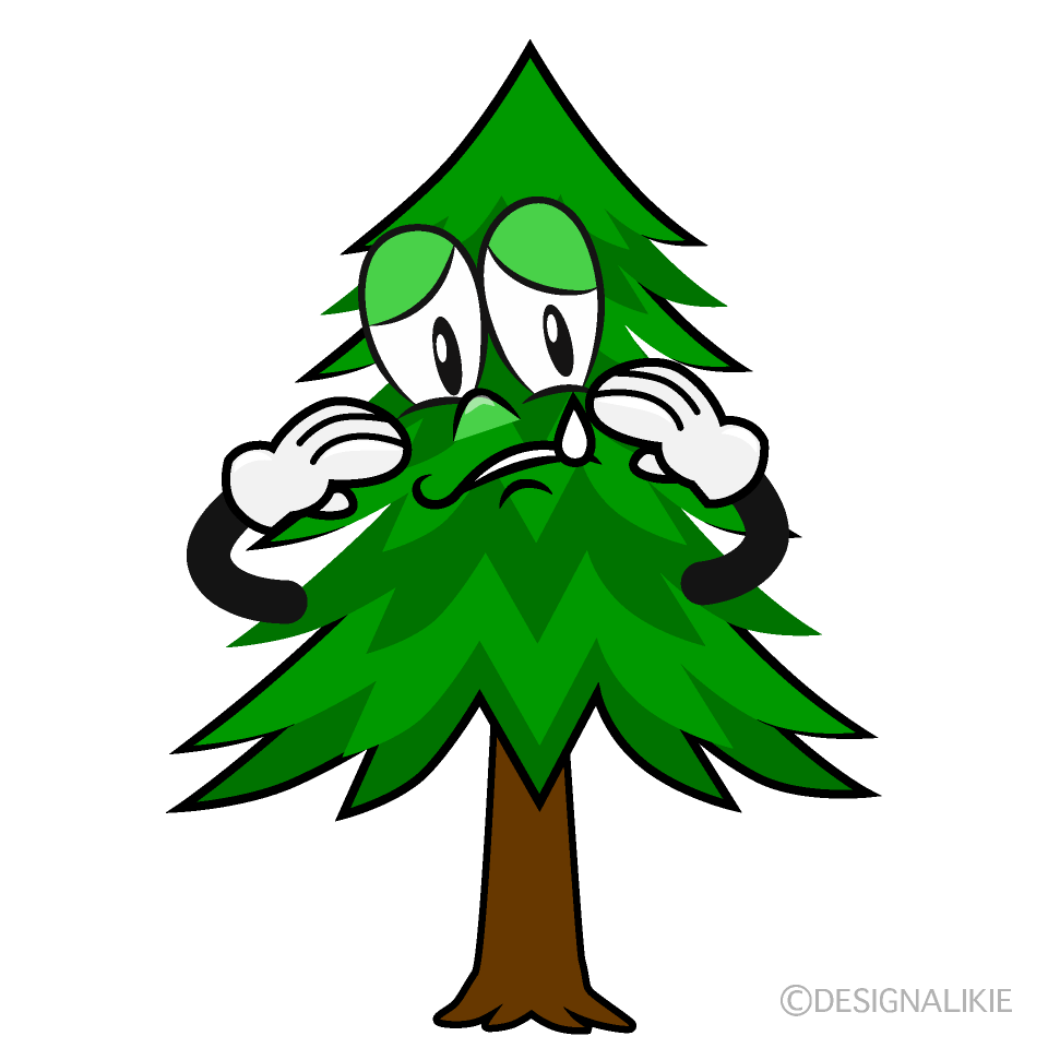 Sad Pine Tree Cartoon Character Image