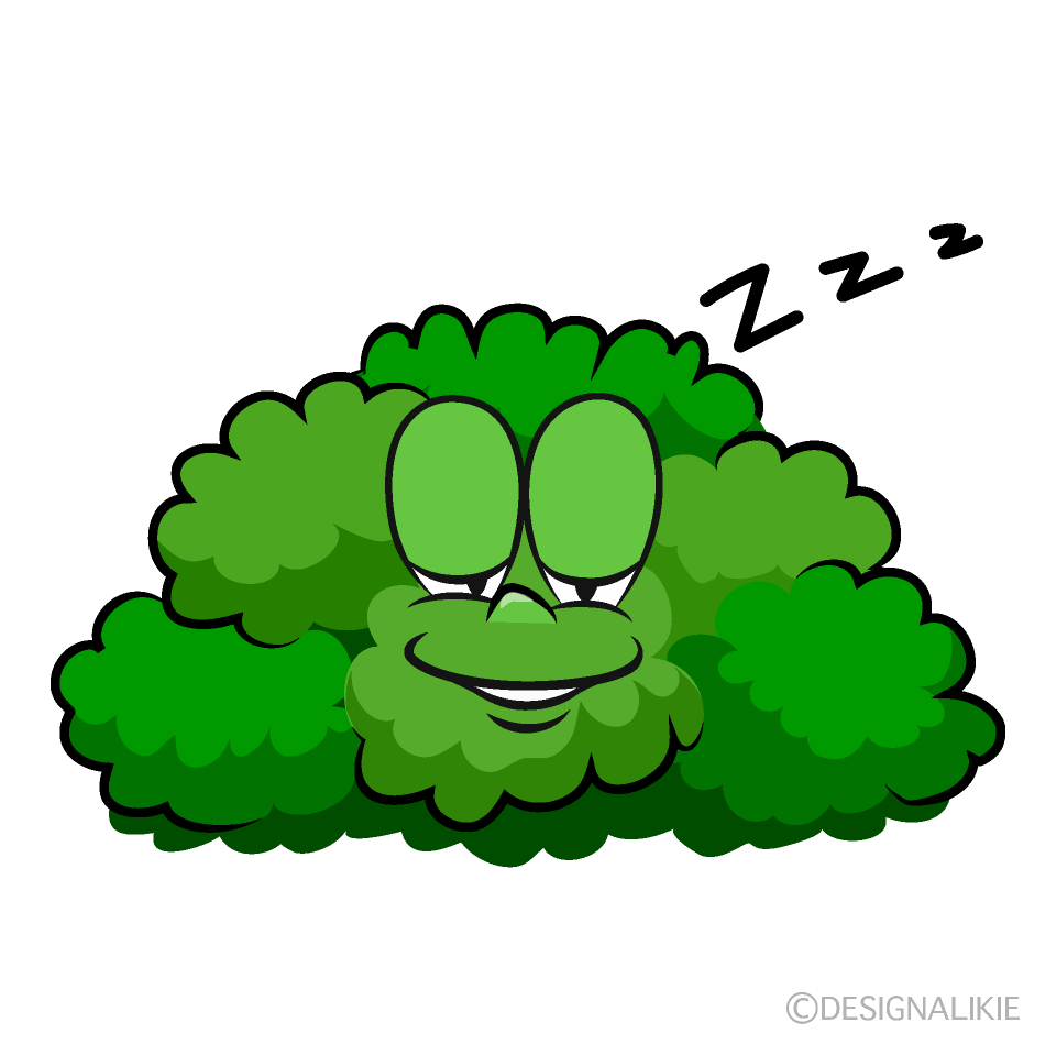 Sleeping Bush Cartoon Character Image