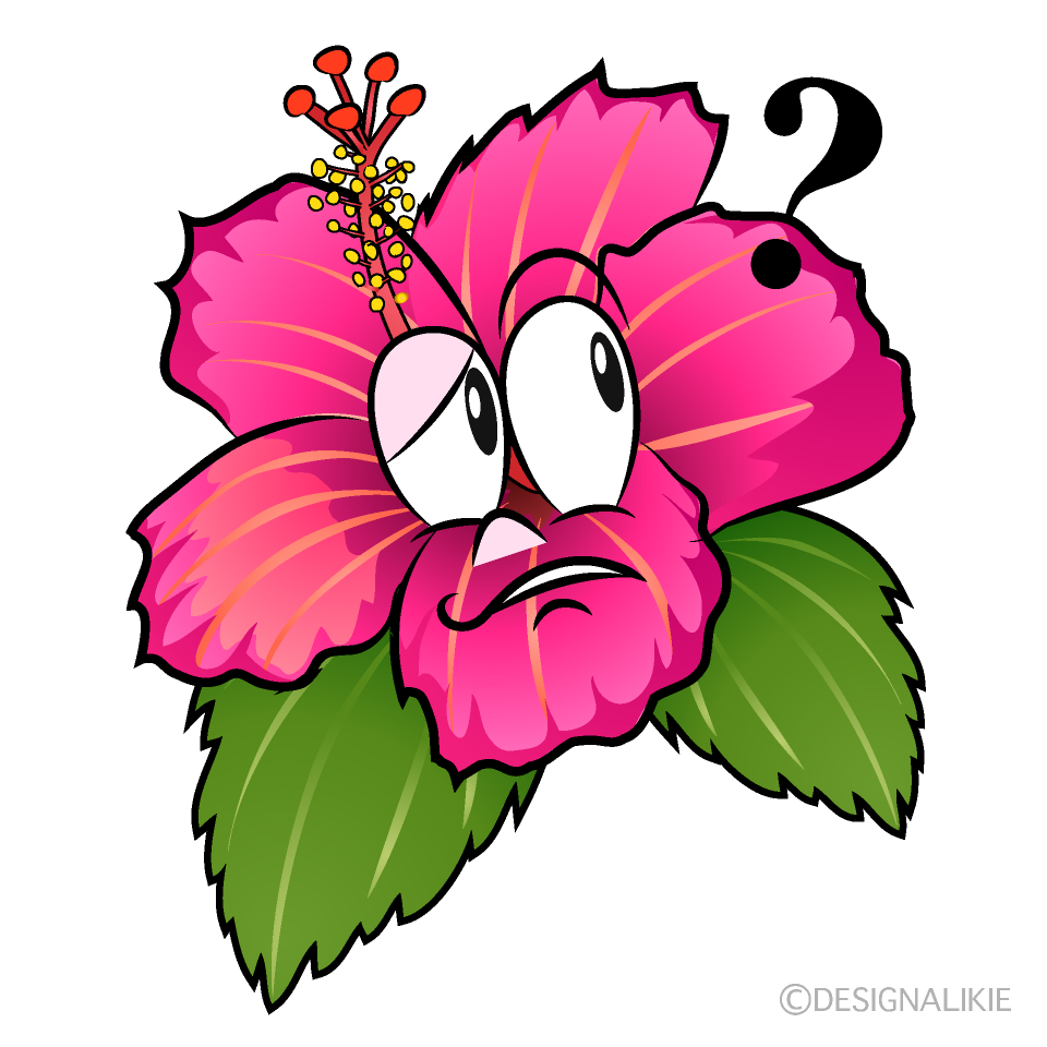 Hibisco Pensativo Animado