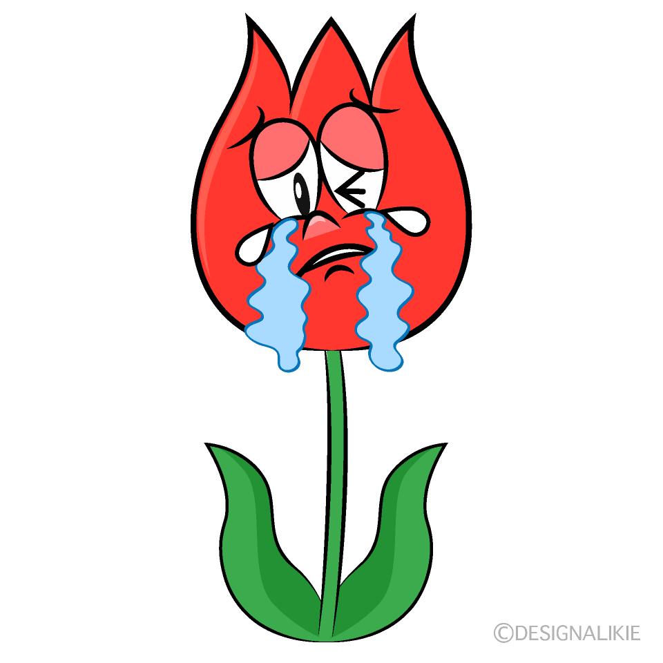 Crying Tulip Cartoon Character Image