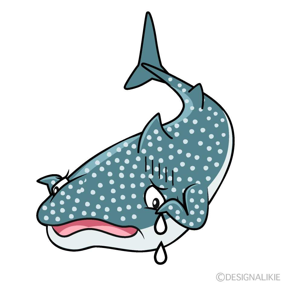 Tiburón Ballena Triste Animado
