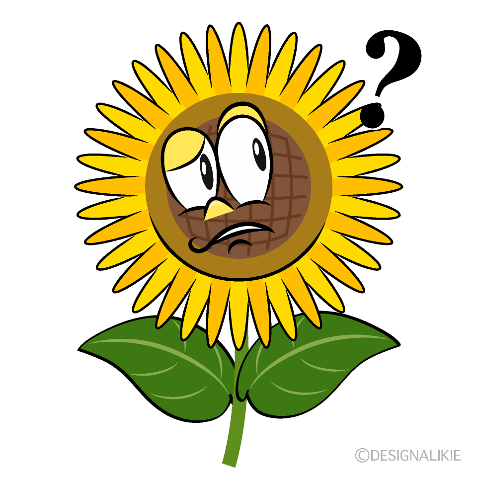 Thinking Sunflower Cartoon Character Image