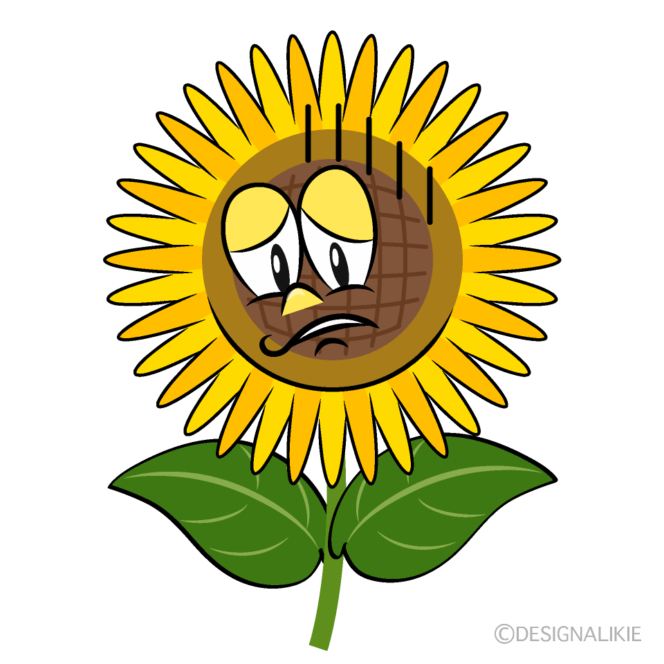 Depressed Sunflower Cartoon Character Image