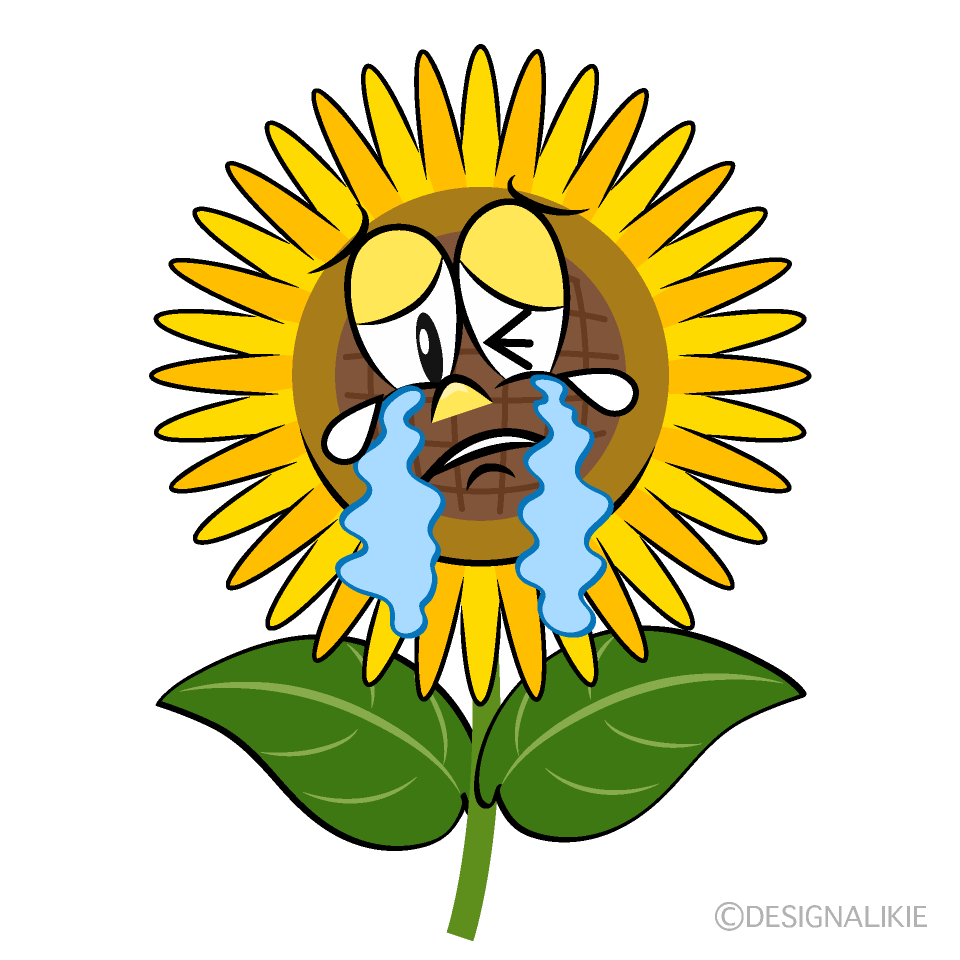 Crying Sunflower Cartoon Character Image