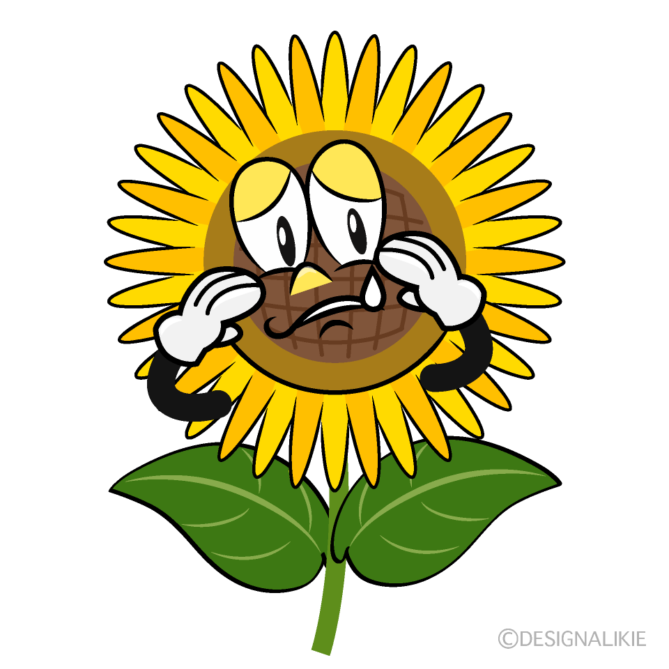Sobbing Sunflower Cartoon Character Image