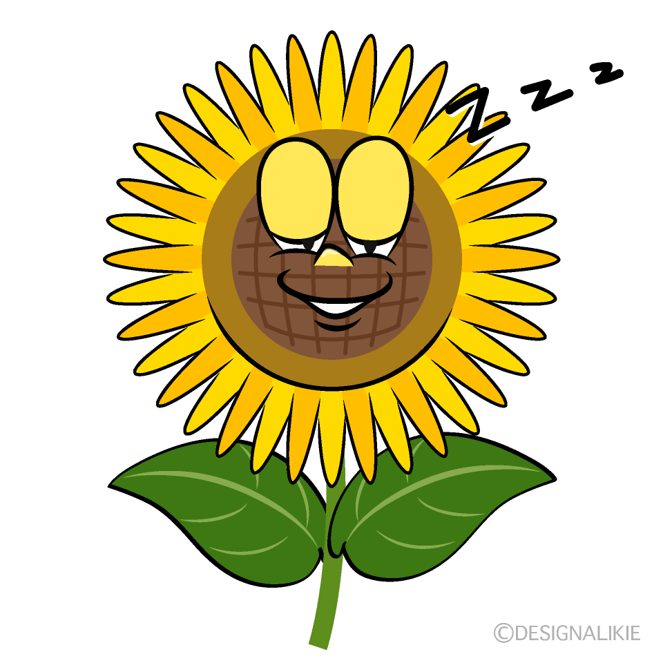 Girasol Dormido Animado