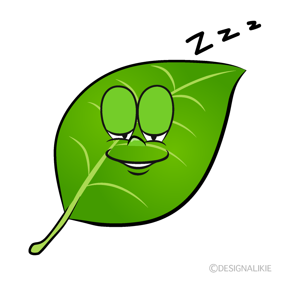 Sleeping Leaf Cartoon Character Image