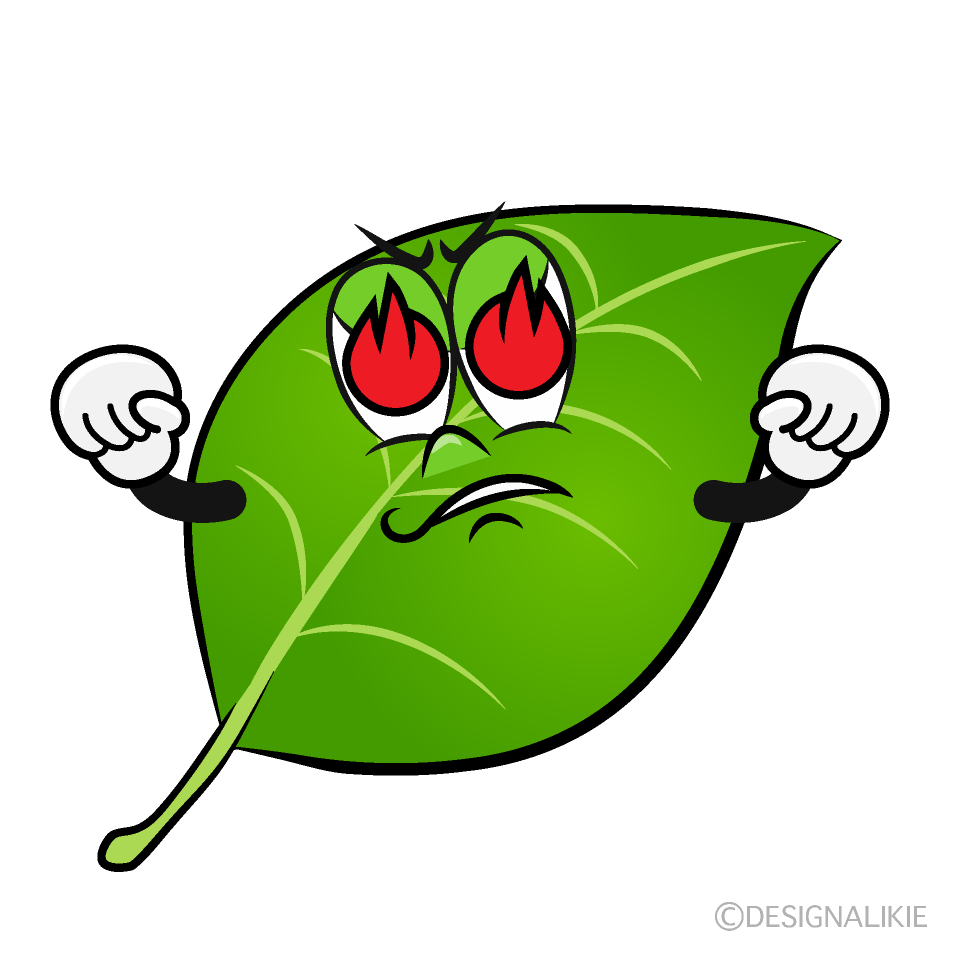 Burning Leaf Cartoon Character Image