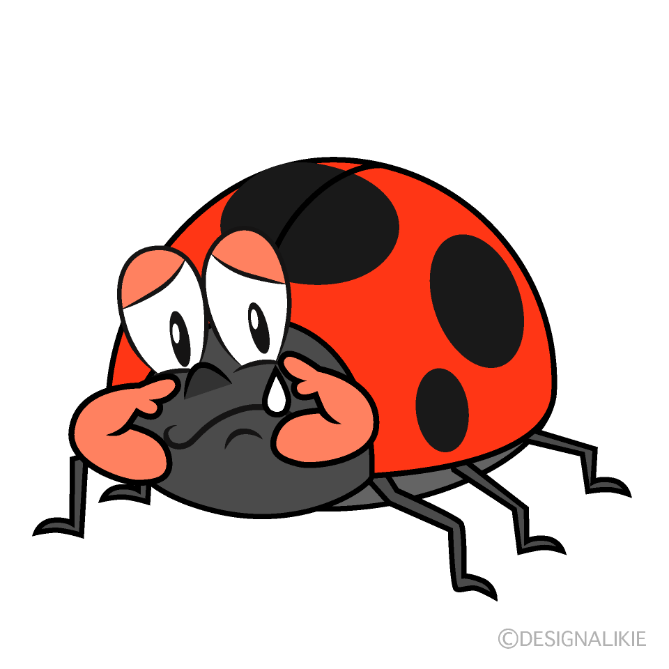 Sobbing Ladybug Cartoon Character Image