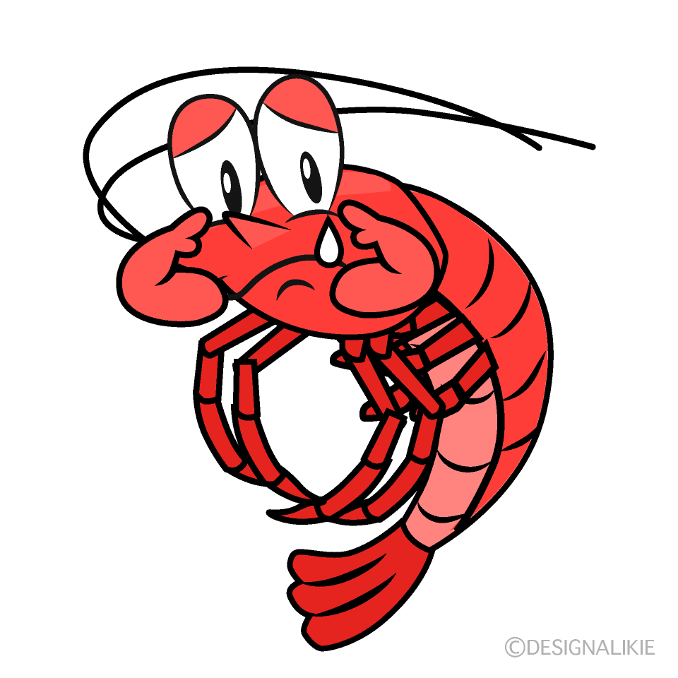 Sobbing Shrimp Cartoon Character Image