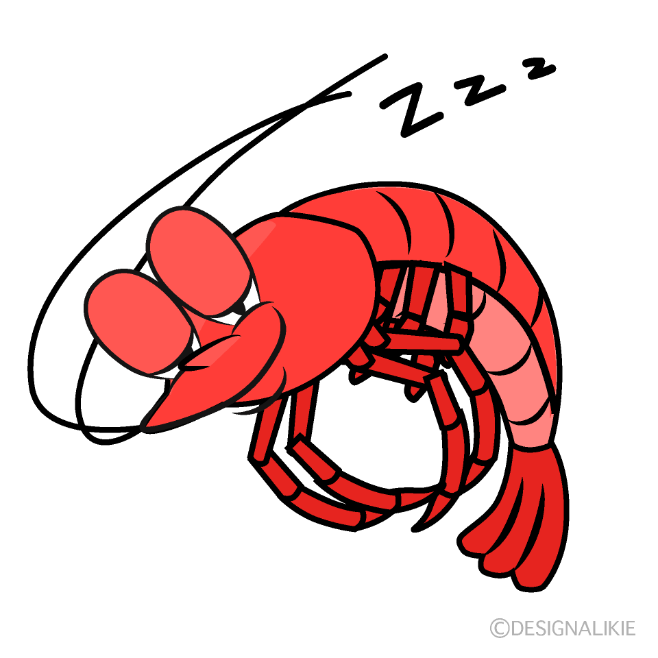 Sleeping Shrimp Cartoon Character Image