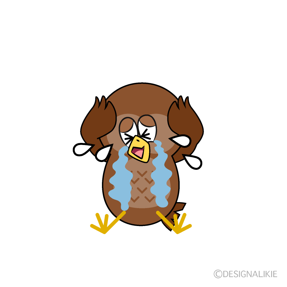 Crying Owl Cartoon Character Image