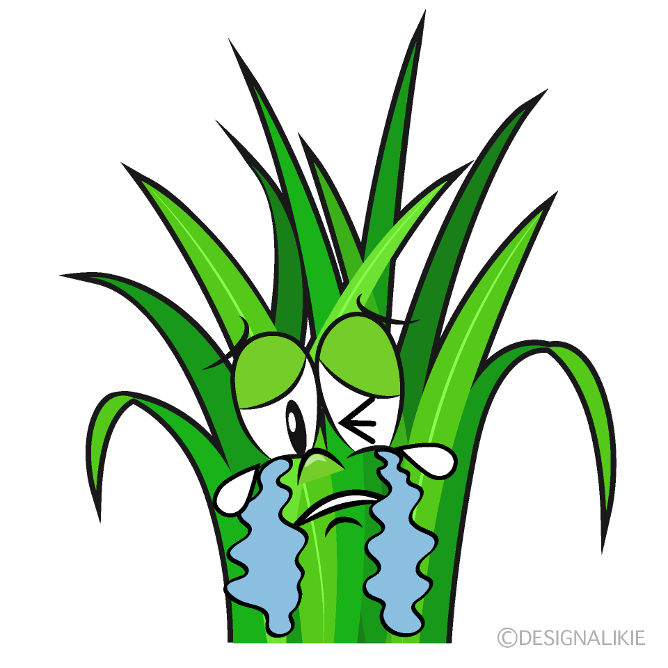 Crying Grass Cartoon Character Image
