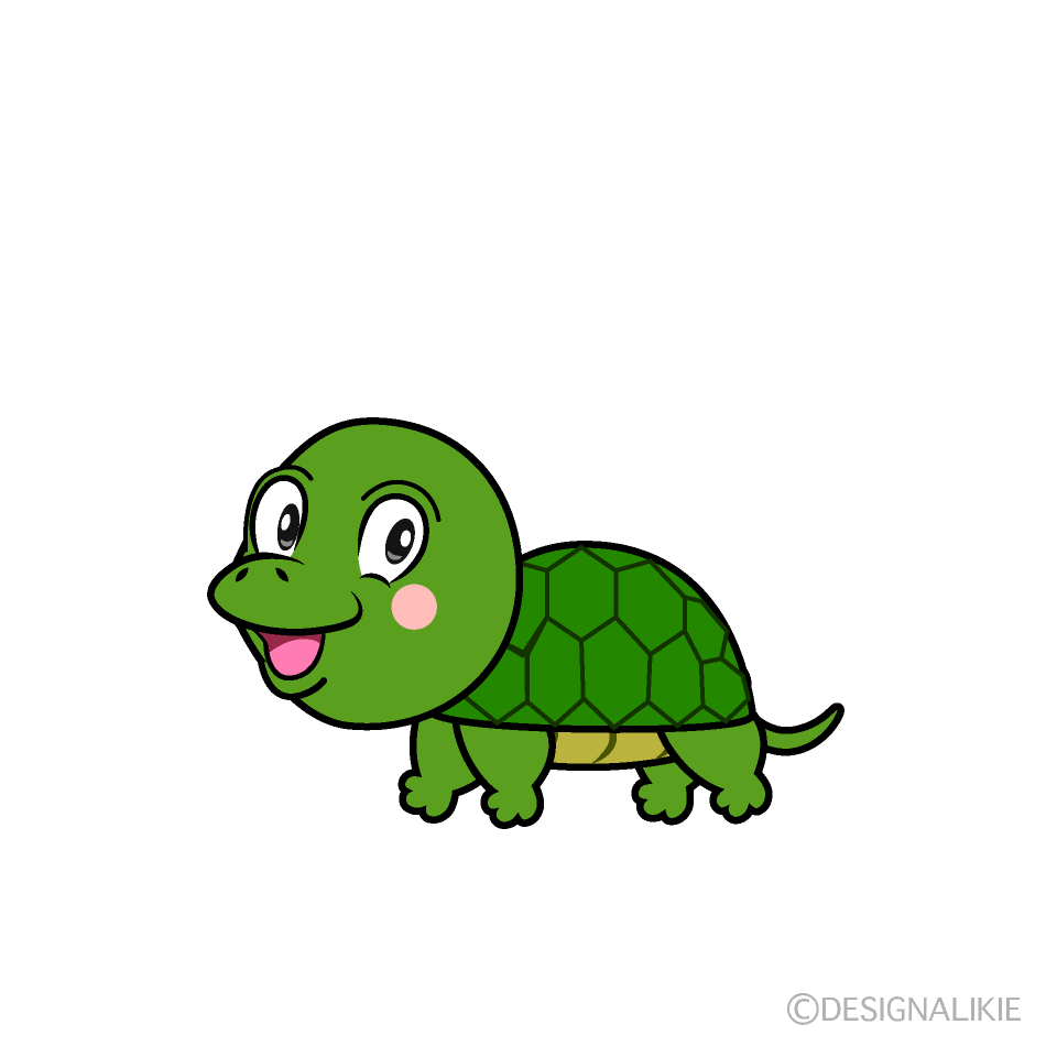 Turtle Cartoon Character Image