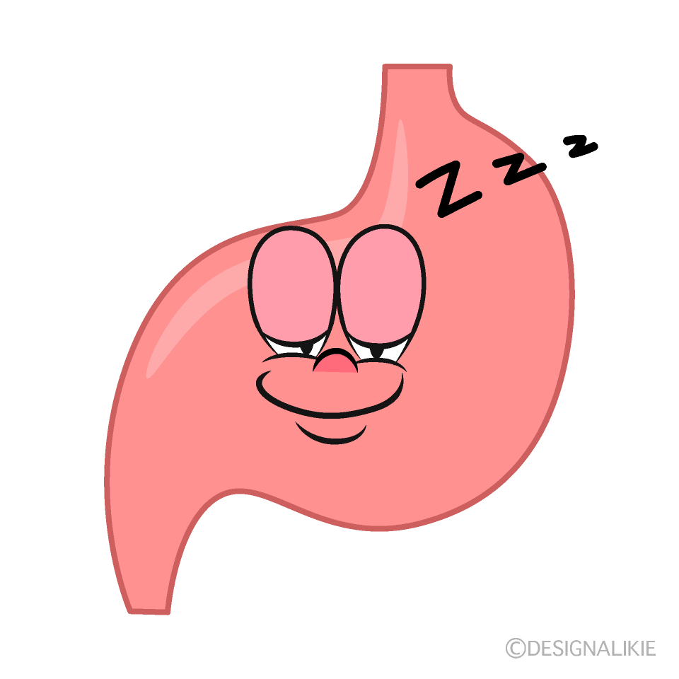 Estómago Durmiendo Animado