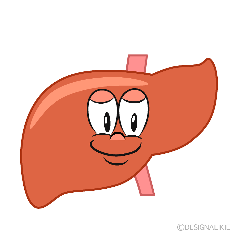 Liver