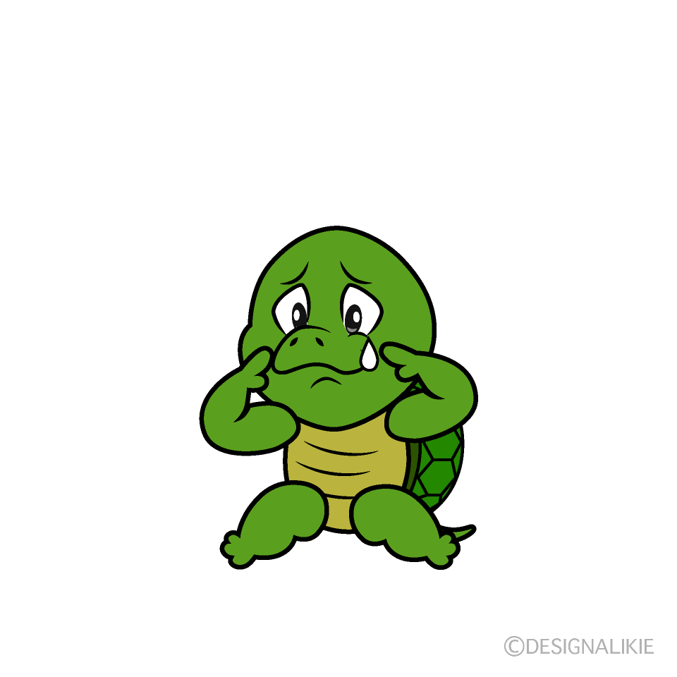 Sad Turtle Cartoon Character Image