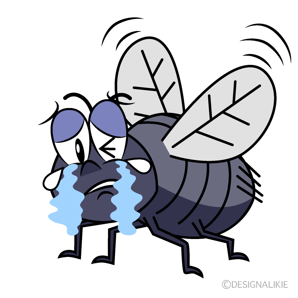Crying Fly Cartoon Character Image