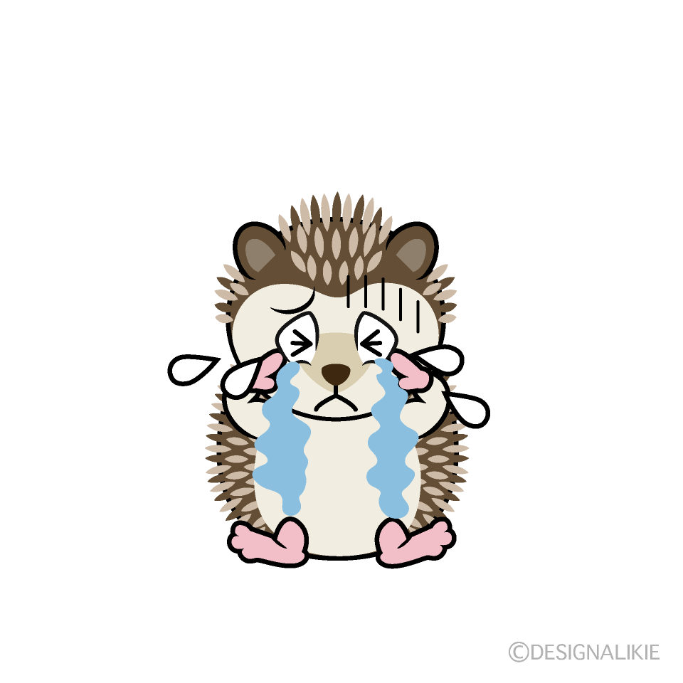 Erizo Llorando Animado