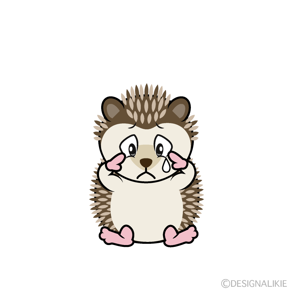 Sad Hedgehog Cartoon Character Image