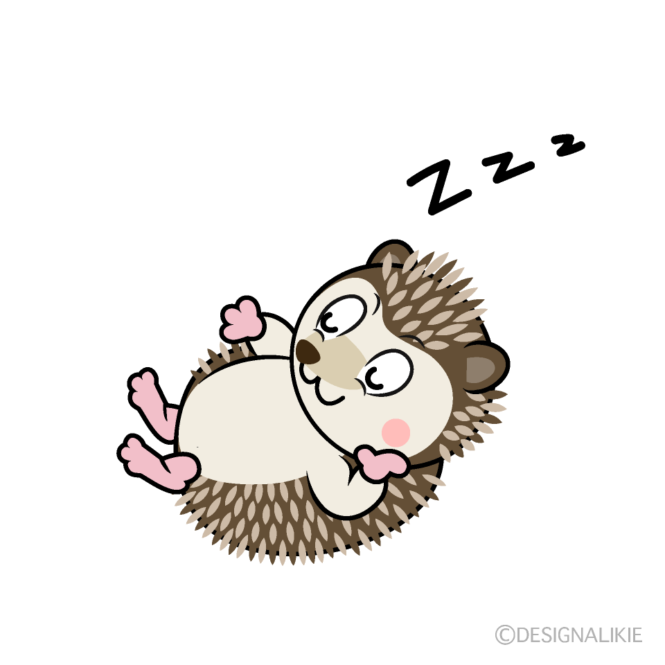 Sleeping Hedgehog Cartoon Character Image