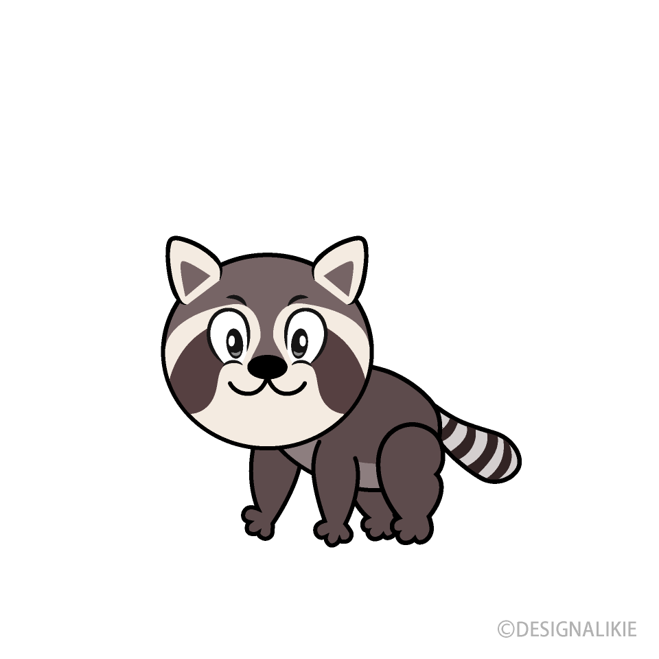 Raccoon Cartoon Character Image