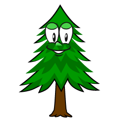 Pine Tree
