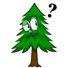 Thinking Pine Tree
