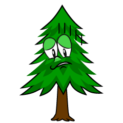 Depressed Pine Tree