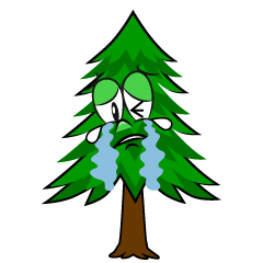 Crying Pine Tree