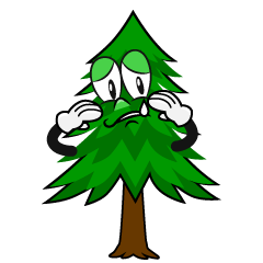 Sad Pine Tree
