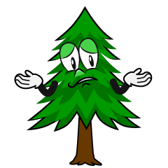 Troubled Pine Tree