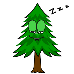 Sleeping Pine Tree