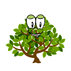 Shrub