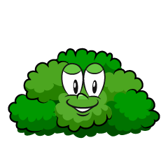 Bush