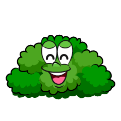Smiling Bush