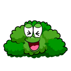 Laughing Bush