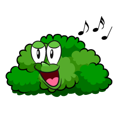 Singing Bush