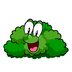 Surprising Bush