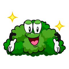 Glitter Bush
