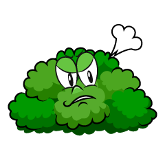 Angry Bush