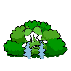 Crying Bush