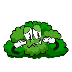 Sad Bush