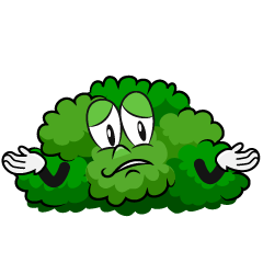 Troubled Bush