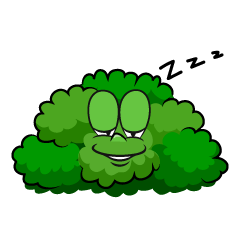 Sleeping Bush