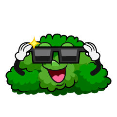 Cool Bush