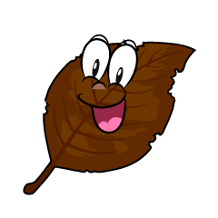 Surprising Dead Leaf